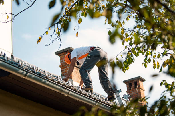 Best Roof Waterproofing Services  in Harlem Heights, FL