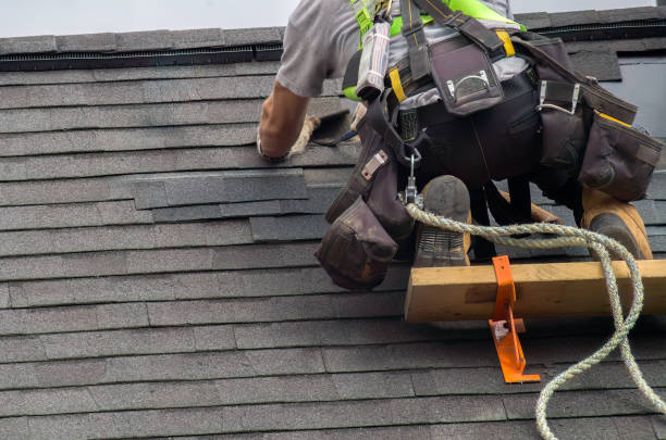 Quick and Trustworthy Emergency Roof Repair Services in Harlem Heights, FL