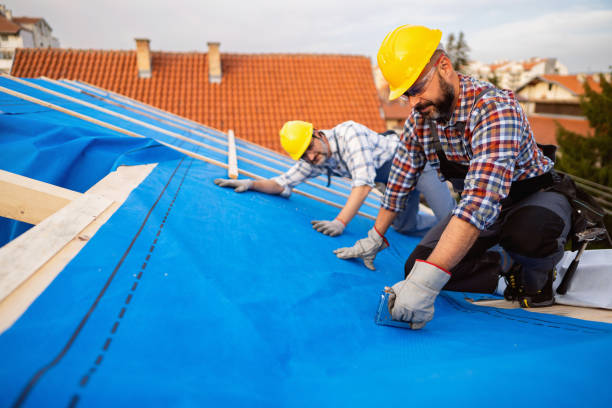 Best Roof Replacement Cost  in Harlem Heights, FL