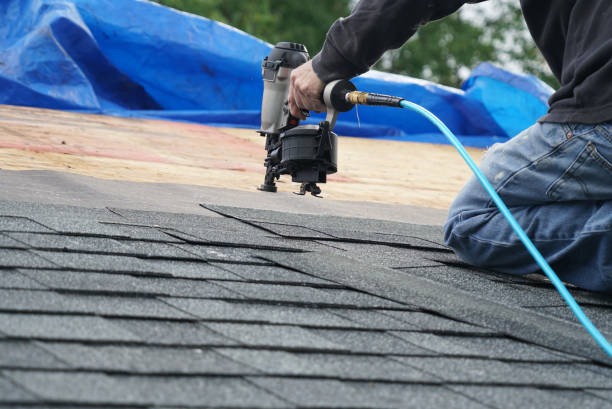 Tile Roofing Contractor in Harlem Heights, FL