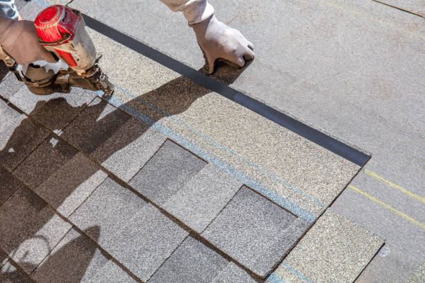 Best Shingle Roofing Installation  in Harlem Heights, FL