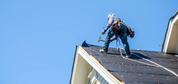Best Commercial Roofing Services  in Harlem Heights, FL